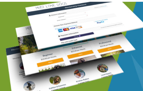 Product Image - Paid Memberships Pro 3.6.2
