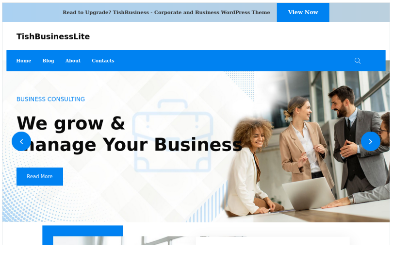TishBusinessLite - Free Corporate and Business WordPress Theme