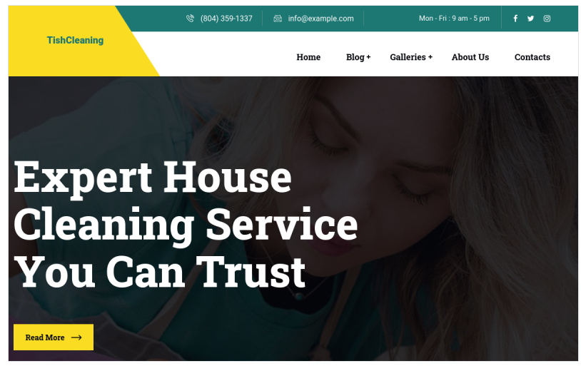 TishCleaning - Cleaning Services WordPress Theme