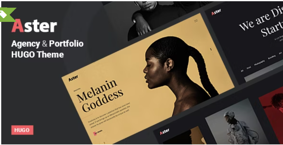 Aster - Creative Agency Portfolio HUGO Theme