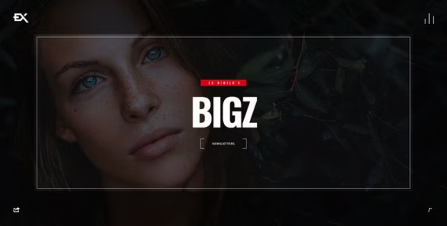 Bigz - Under Construction Template