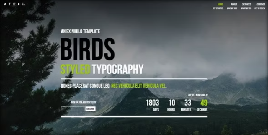 Birds - Responsive Coming Soon Page