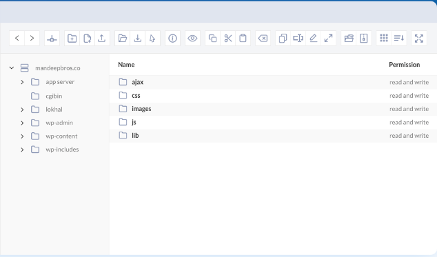 WP File Manager PRO – Manage your WP files