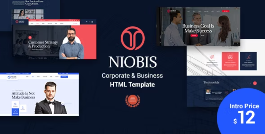 NioBis - Corporate Consulting Template