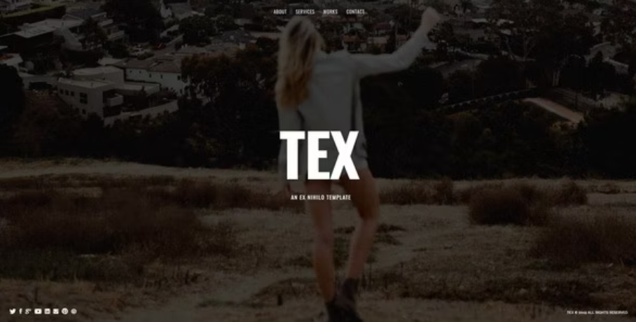 Tex - Creative One Page Portfolio Template