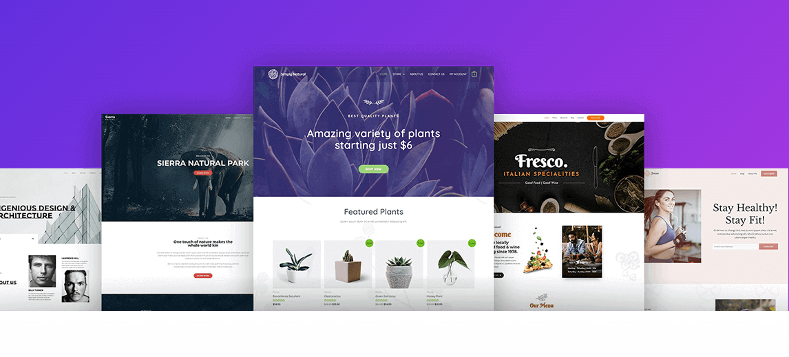 Astra Pro WordPress Plugin with original license key Activation for lifetime
