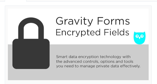 Gravity Forms Encrypted Fields