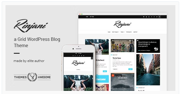 A Responsive Grid Blog Theme - Rinjani