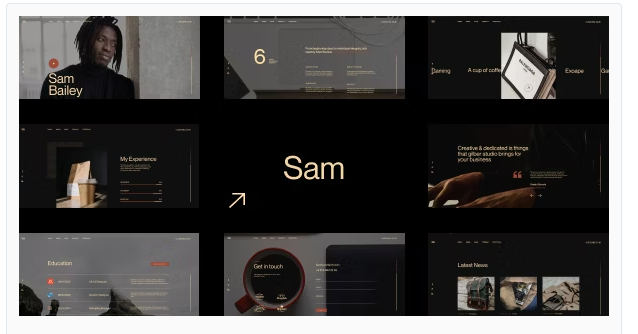 Product Image - Sam Bailey – Personal CV/Resume WordPress Theme