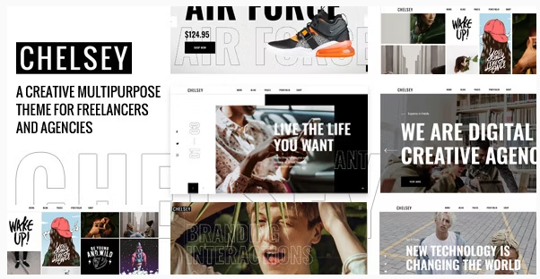 Chelsey - Portfolio Theme for Freelancers and Agencies 1.0