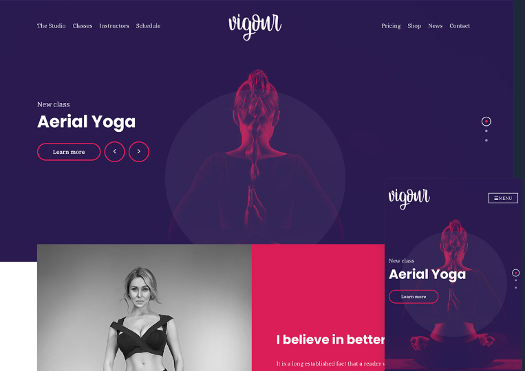 CSS Igniter Vigour Theme