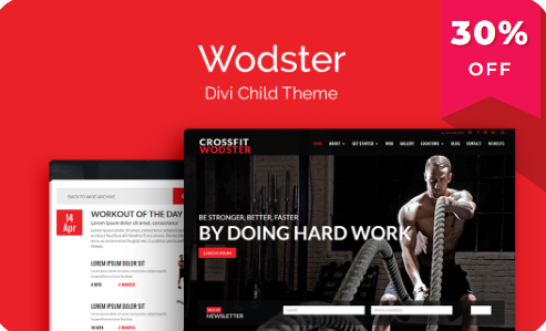 WP Zone – Wodster Theme