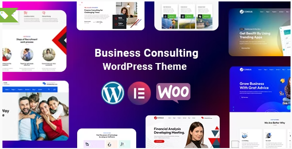 Product Image - Consua – Business Consulting WordPress 1.0