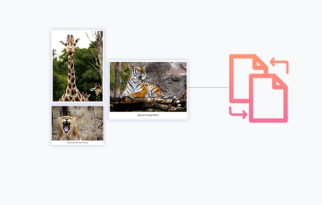 Product Image - WP Portfolio WordPress plugin with original license key Activation for lifetime Product Image - WP Portfolio WordPress plugin with original license key Activation for lifetime