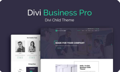 Product Image - WP Zone – Divi Business Pro 1.0.15