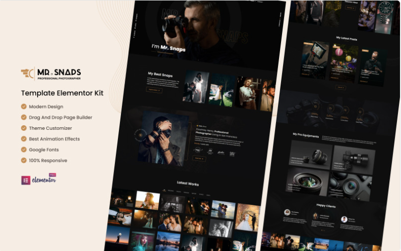 Mr Snaps - Professional Photography Studio Elementor Template Kit Elementor Kit