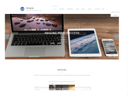 ThemeGrill – Ample Pro