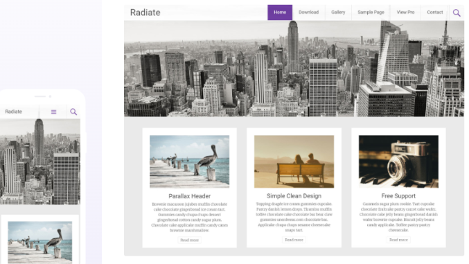 ThemeGrill – Radiate Pro