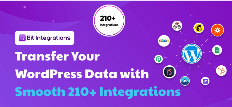 Bit Integrations Pro