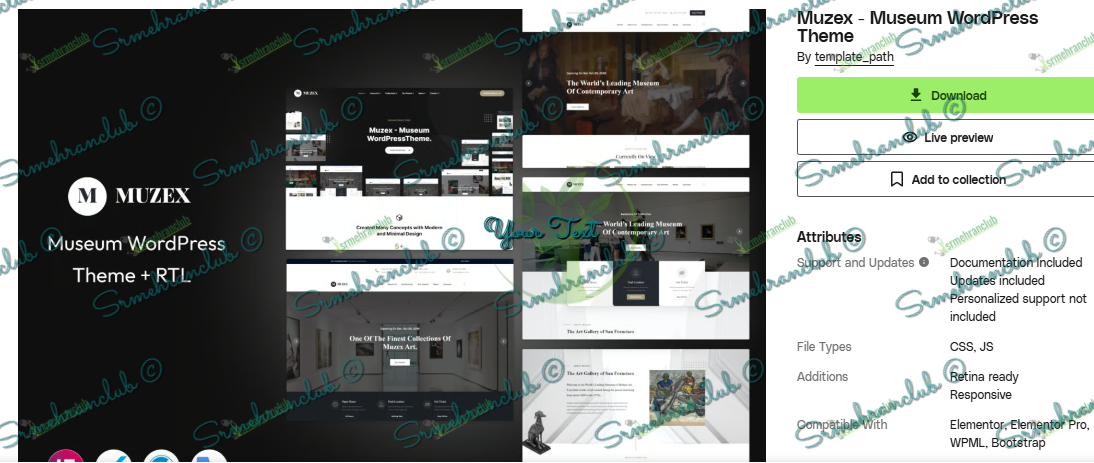 Muzex - Museum WordPress Theme