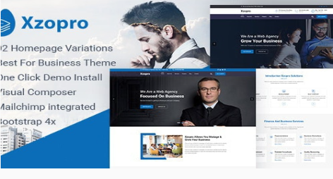 Xzopro - Finance And Business WordPress Theme