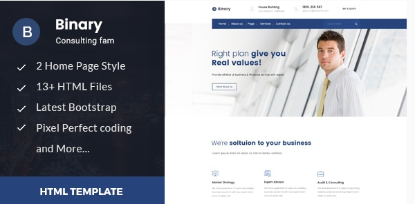 Binary - Business Consulting and Professional Services HTML Template
