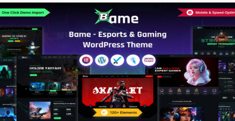 Bame - eSports and Gaming WordPress Theme  1.0