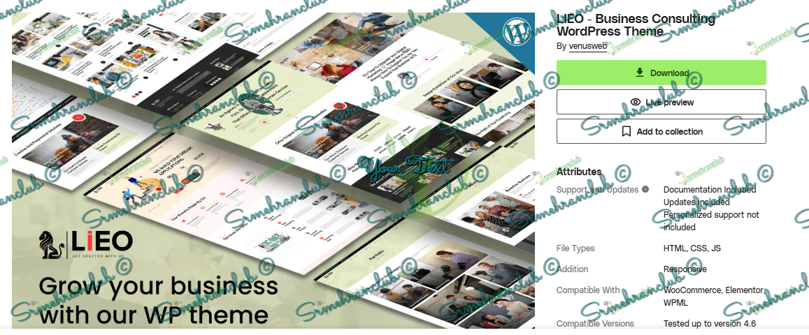 LIEO - Business Consulting WordPress Theme