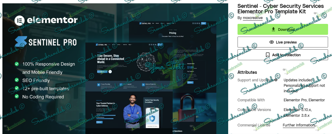 Sentinel - Cyber Security Services Elementor Pro Template Kit Download