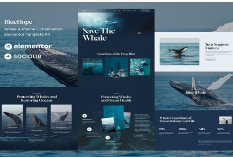 Product Image - BlueHope – Whale & Marine Conservation Elementor Template Kit Product Image - BlueHope – Whale & Marine Conservation Elementor Template Kit
