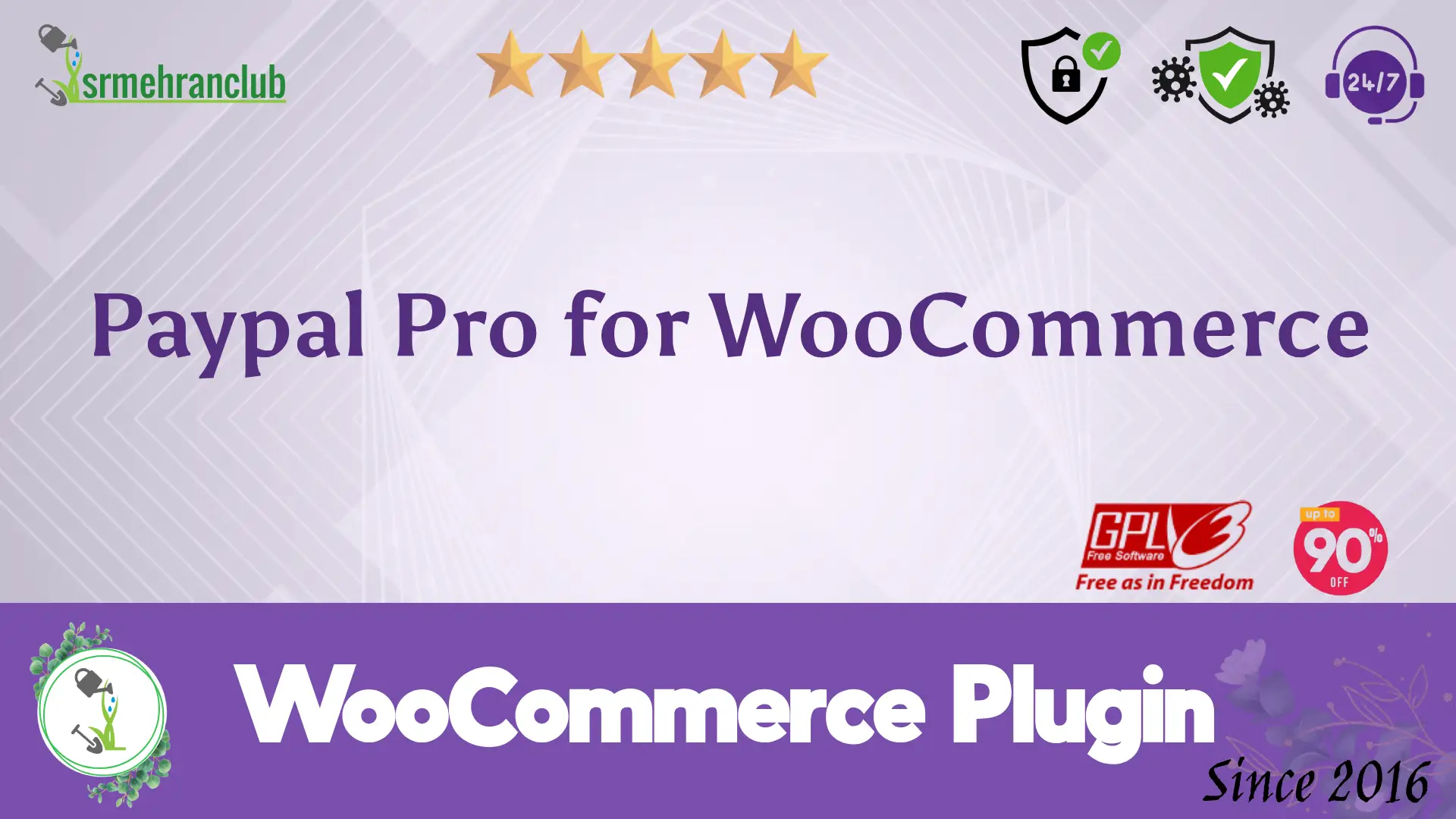 Paypal Pro for WooCommerce