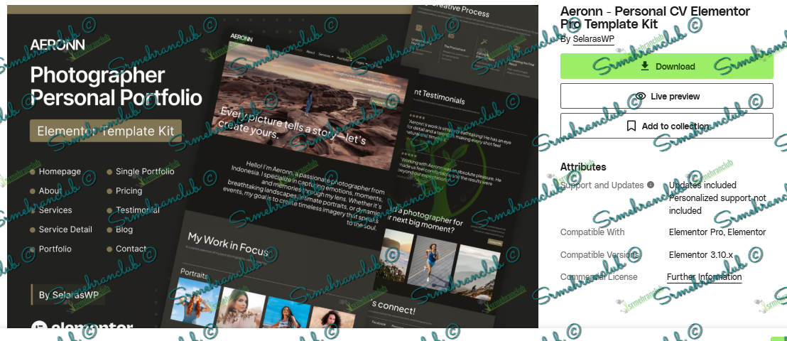 Aeronn - Personal CV Elementor Pro Template Kit