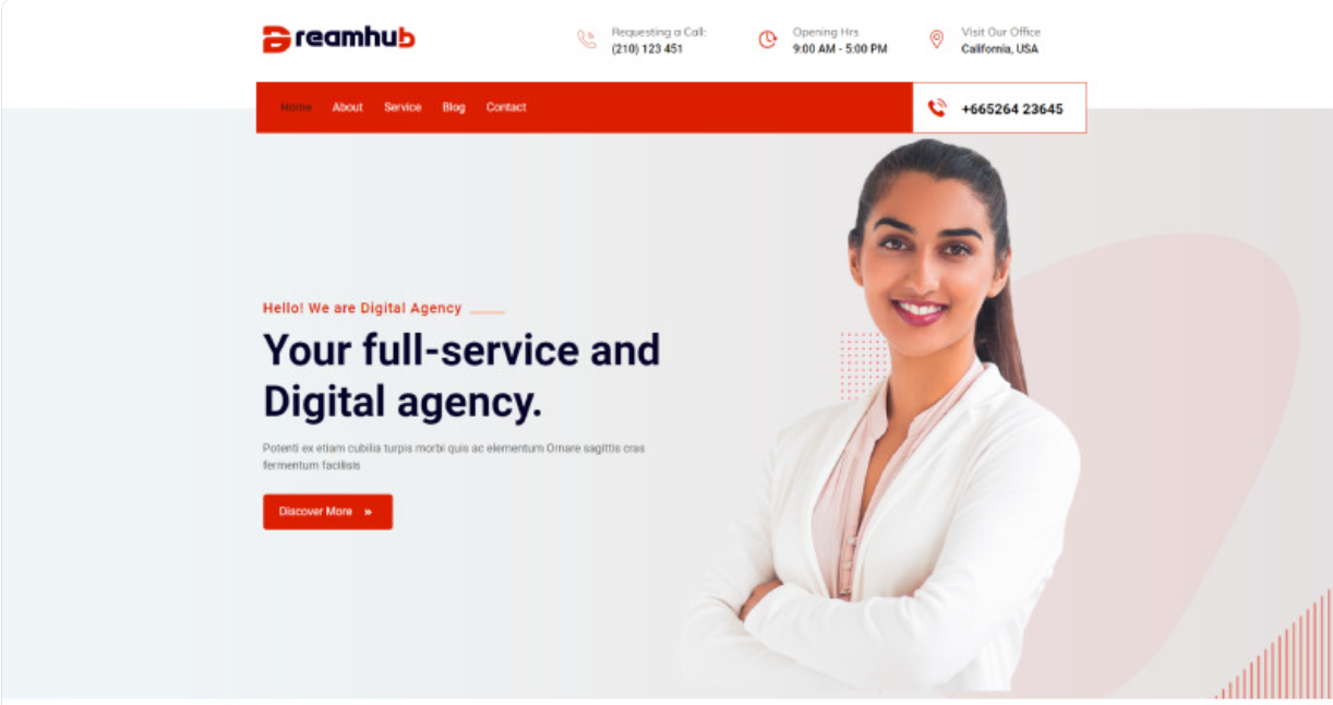 Dreamhub- Digital Agency and Software Company WordPress Theme