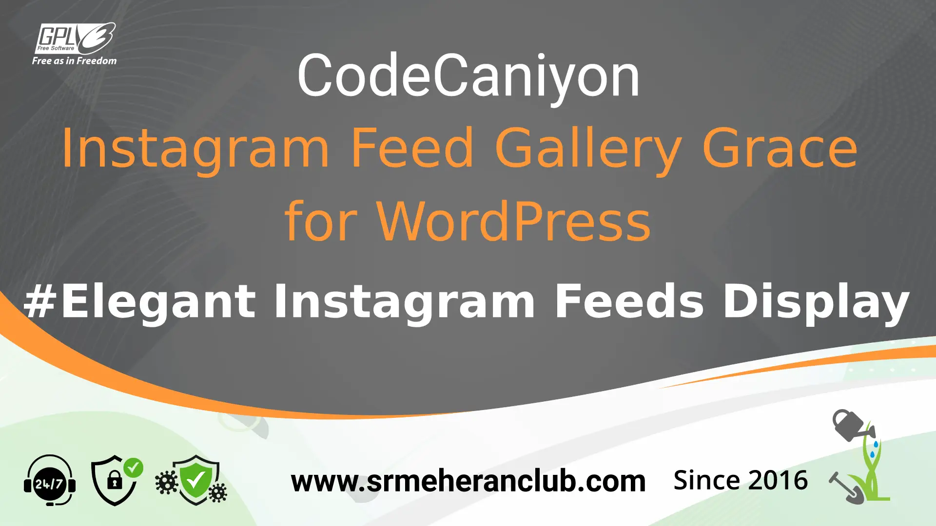 Instagram Feed Gallery Grace for WordPress — Plugin by Codecanyon