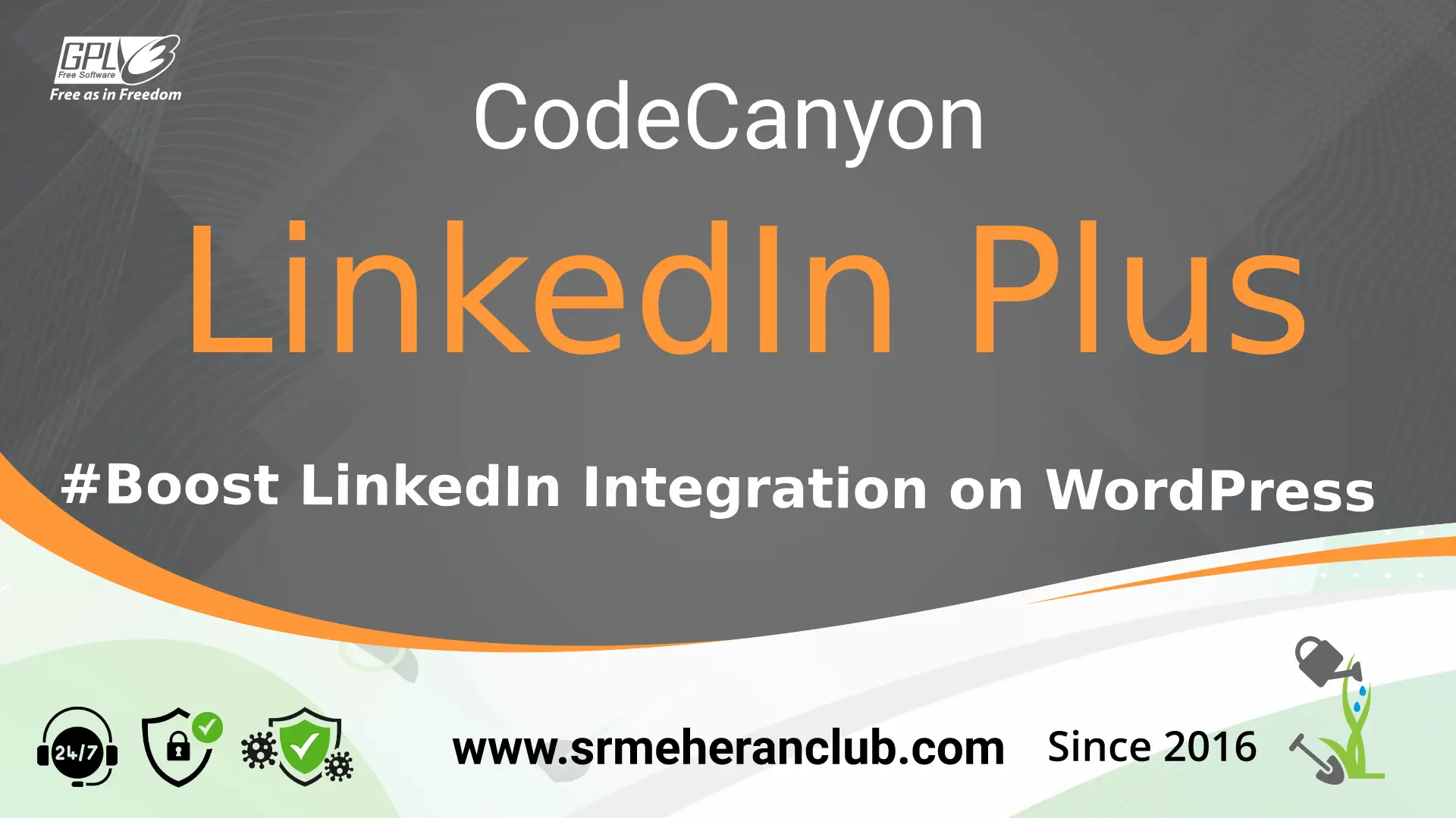 LinkedIn Plus