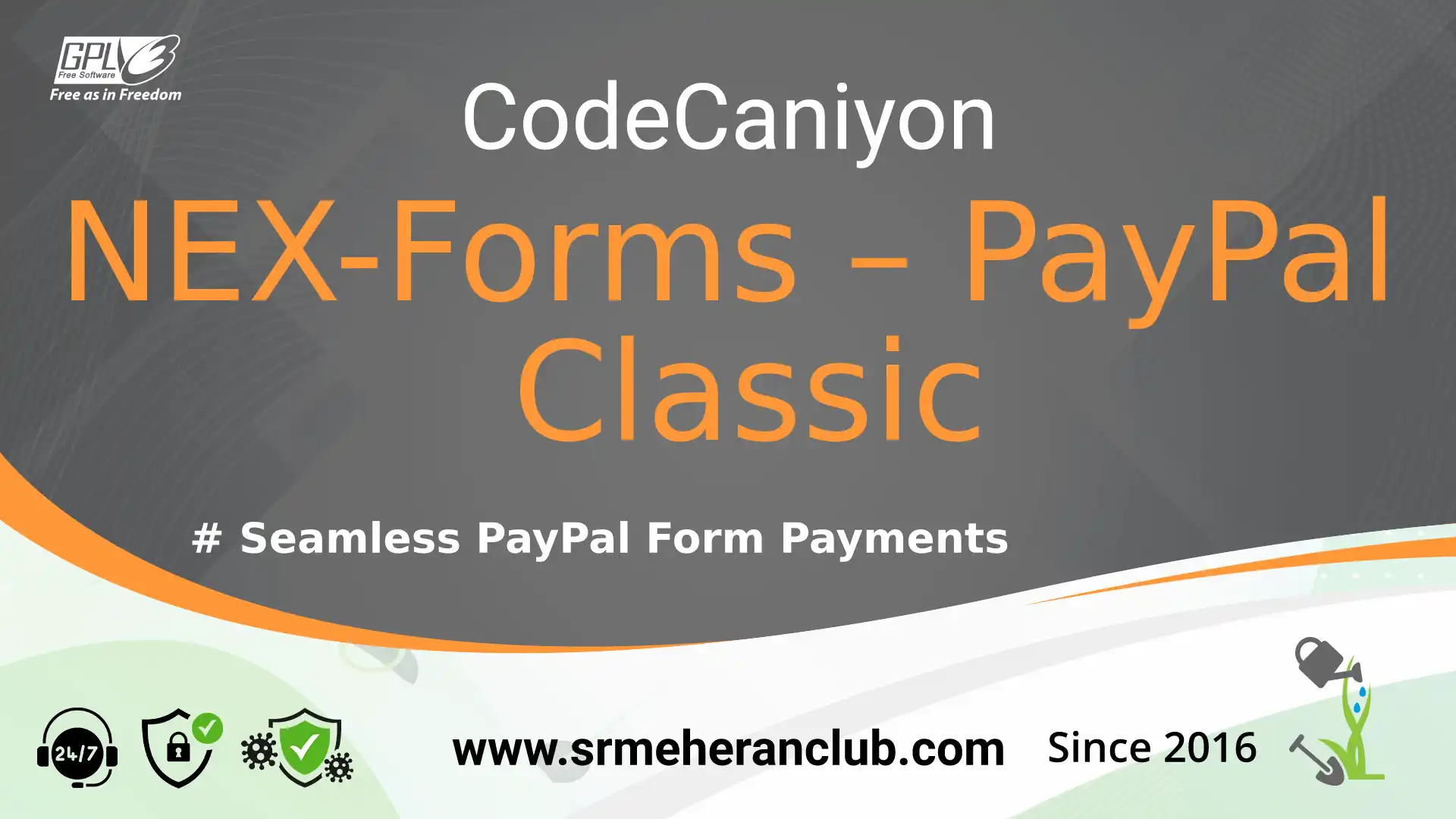 NEX-Forms – PayPal Classic