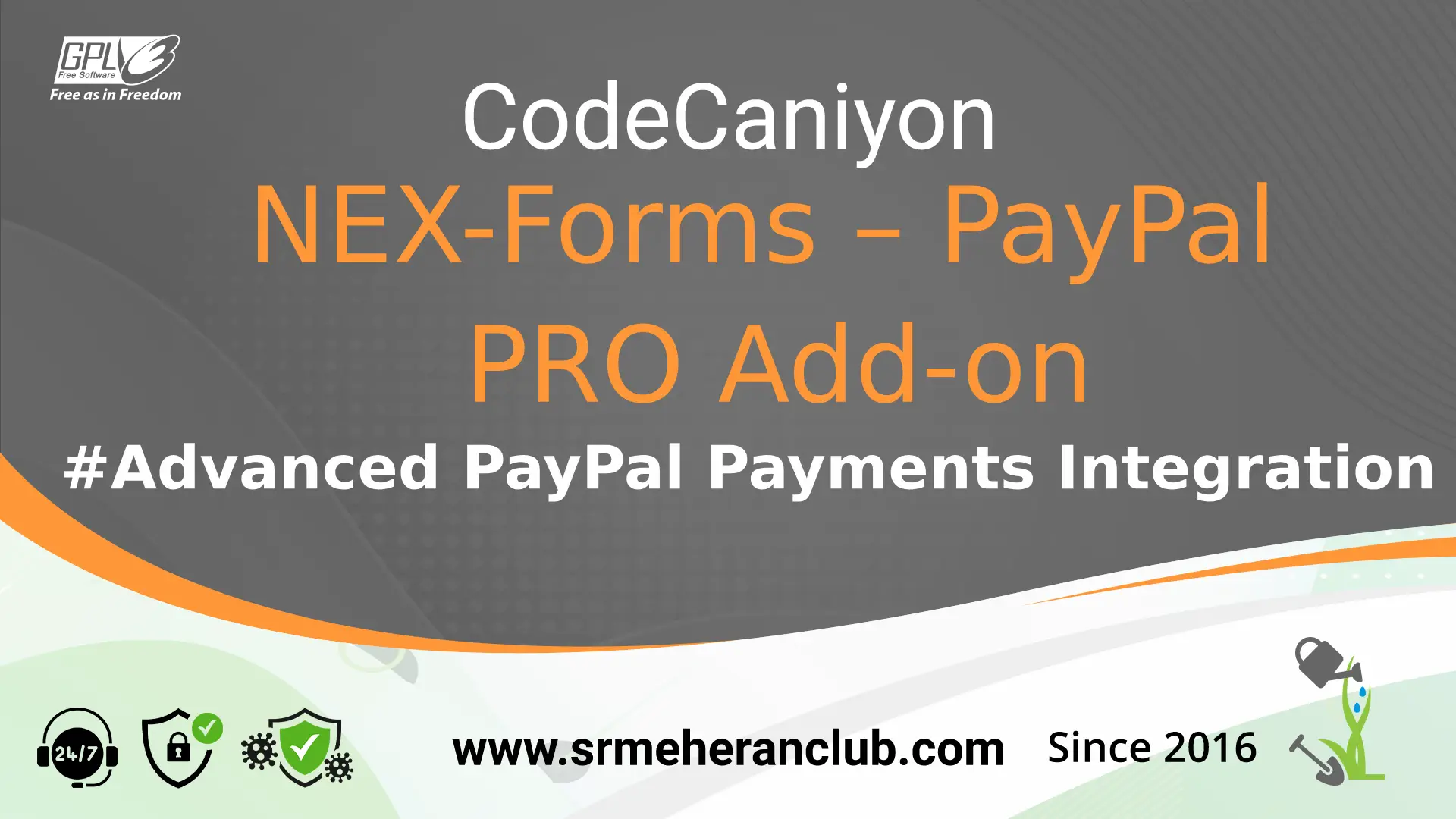 NEX-Forms – PayPal PRO Add-on — Plugin by Codecanyon