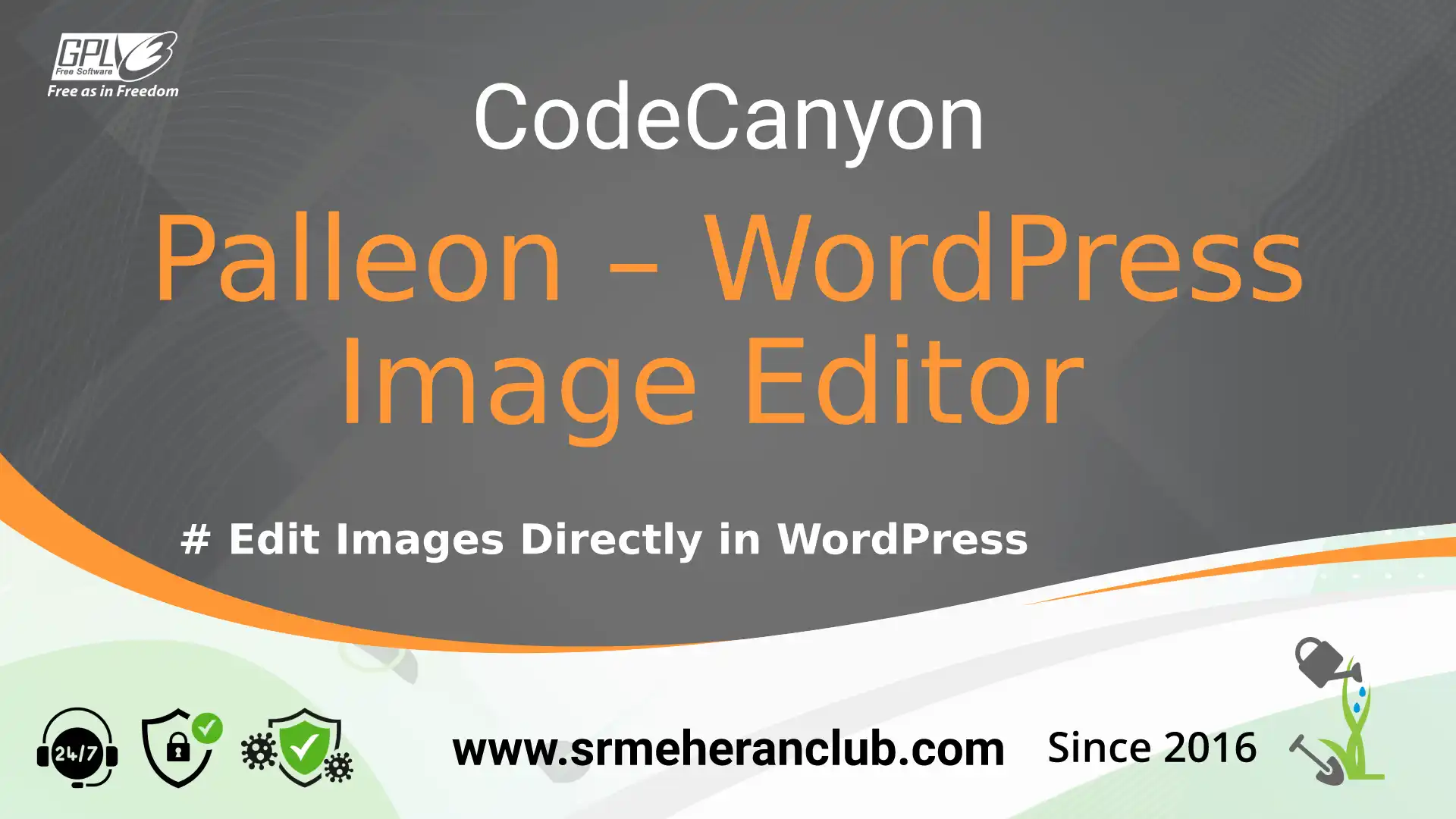 Palleon – WordPress Image Editor — Theme by Codecanyon