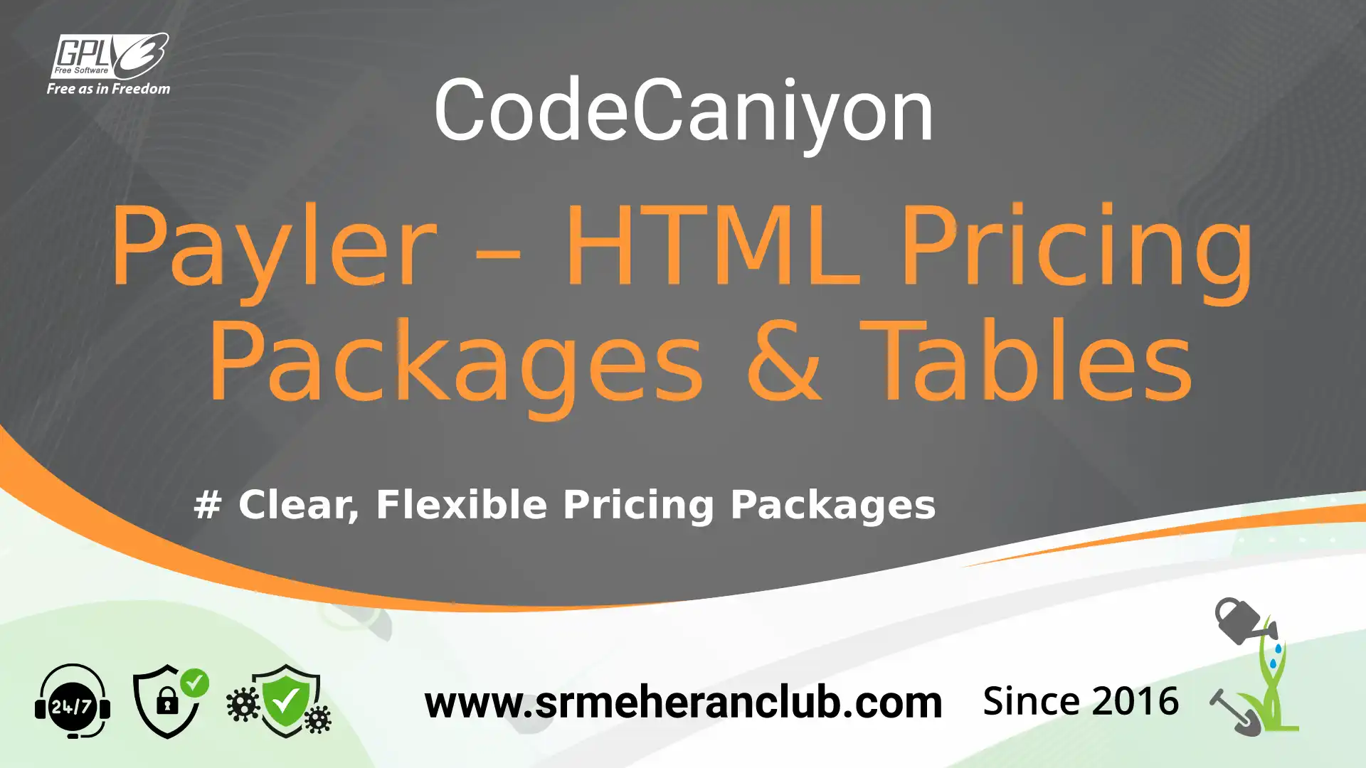 Payler – HTML Pricing Packages & Tables