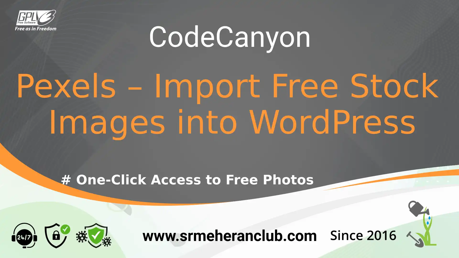 Pexels – Import Free Stock Images into WordPress