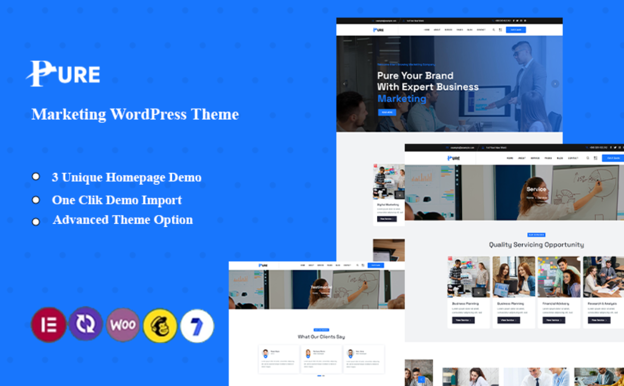 Pure - Marketing Agency Wordpress Theme WordPress Theme
