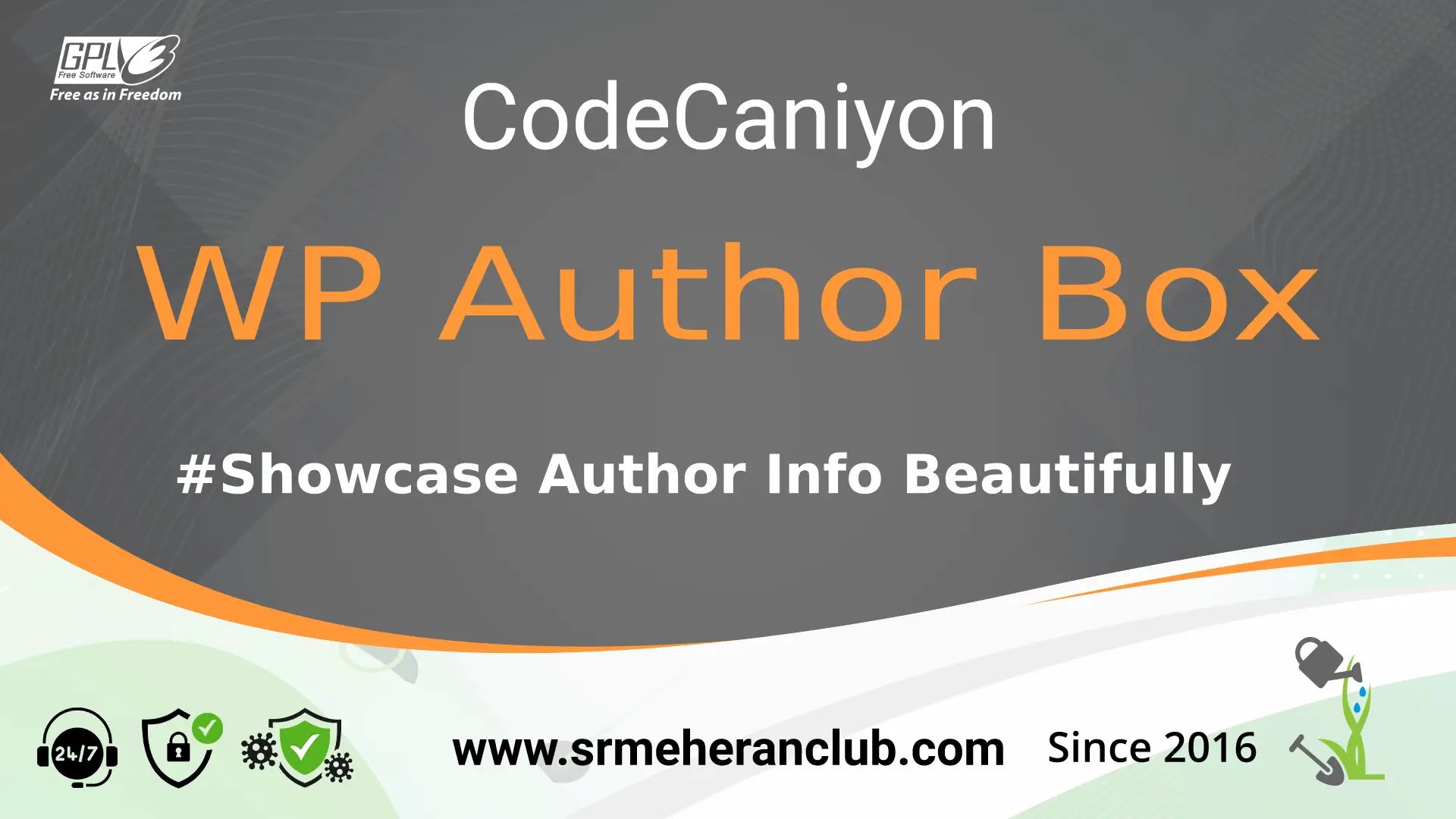 WP Author Box