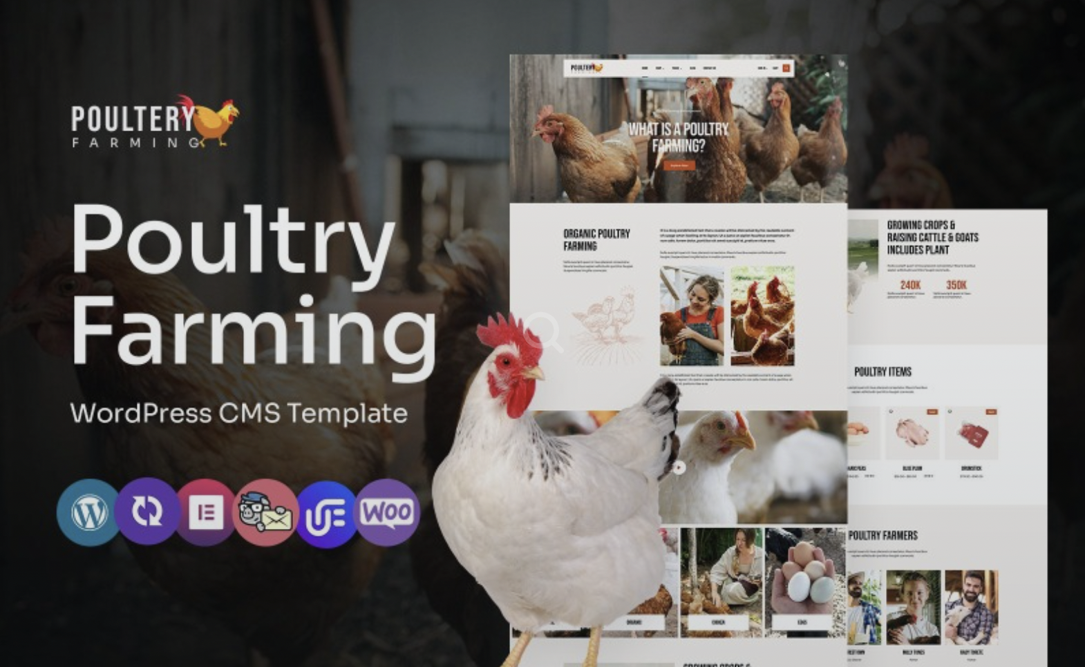 Poultery - Poultry Care And Farming Multipurpose WordPress Elementor Theme WordPress Theme