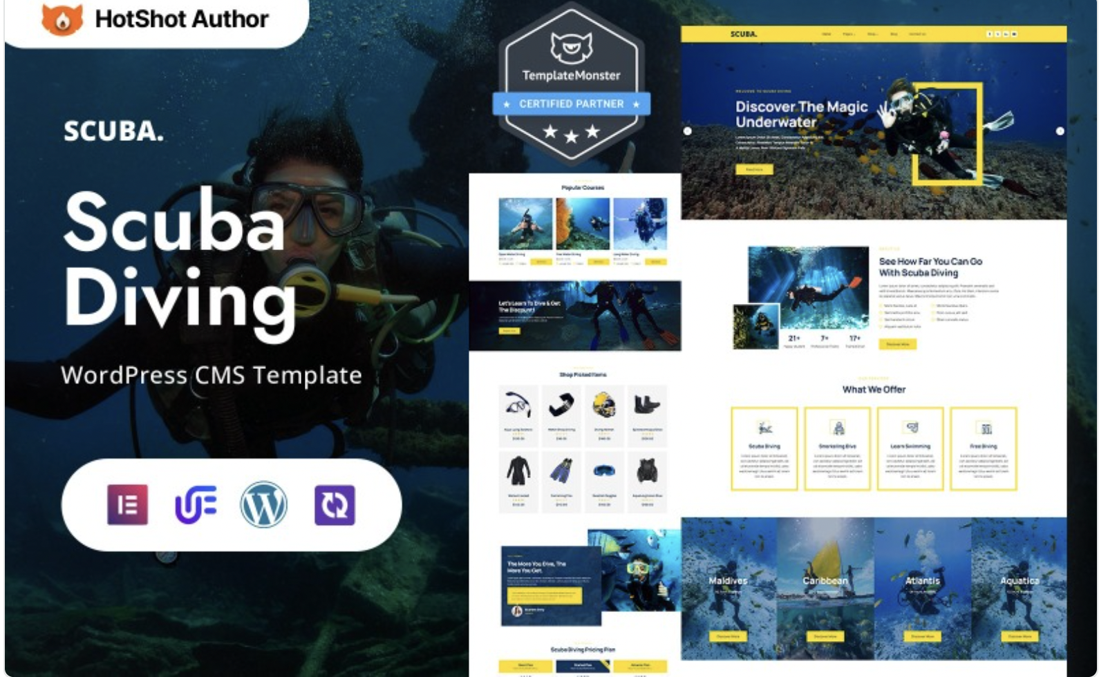 Scubajoy - Scuba Diving And Equipment WordPress Elementor Theme WordPress Theme