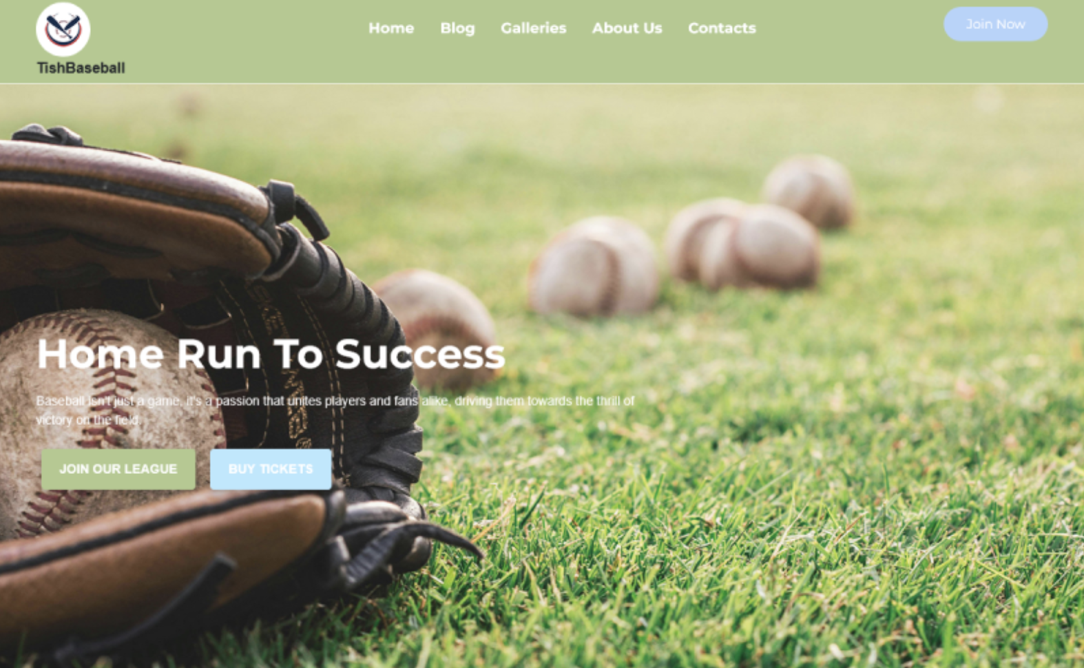 TishBaseball - Baseball WordPress Theme