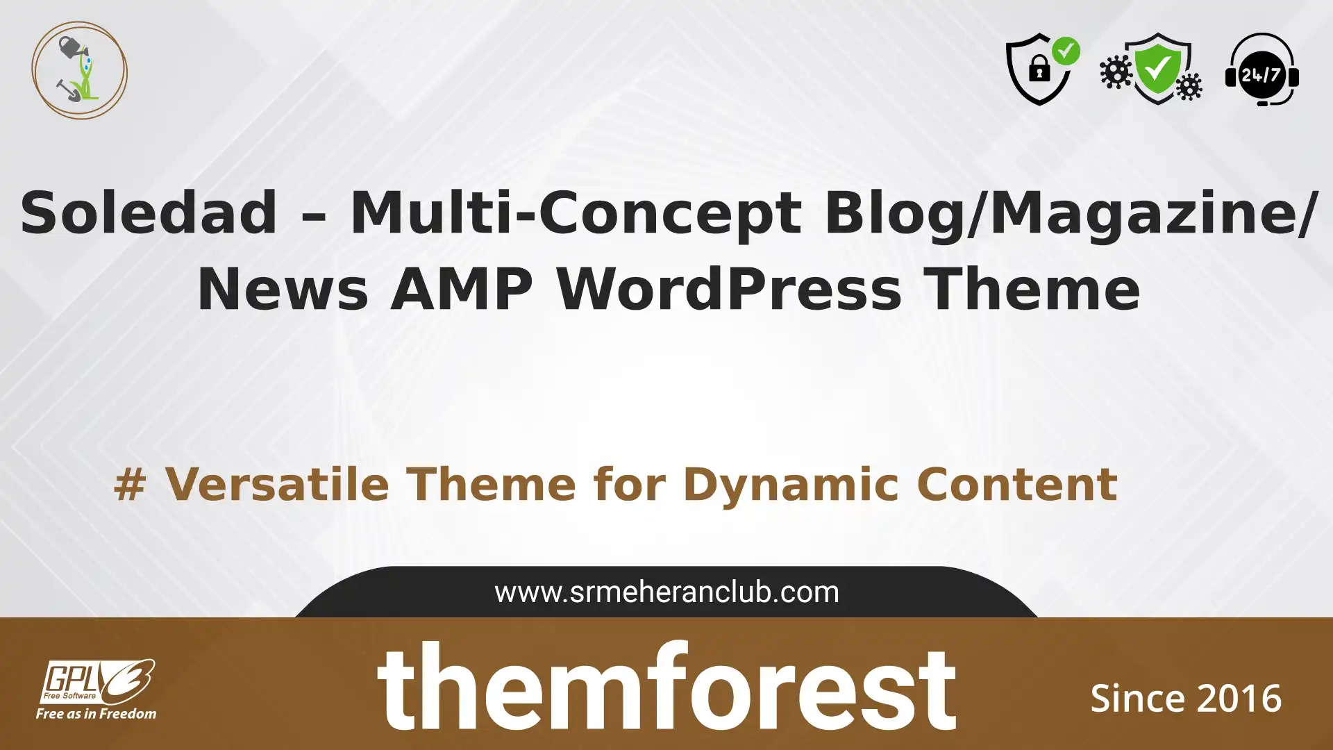 Soledad – Multi-Concept Blog/Magazine/News AMP WordPress Theme