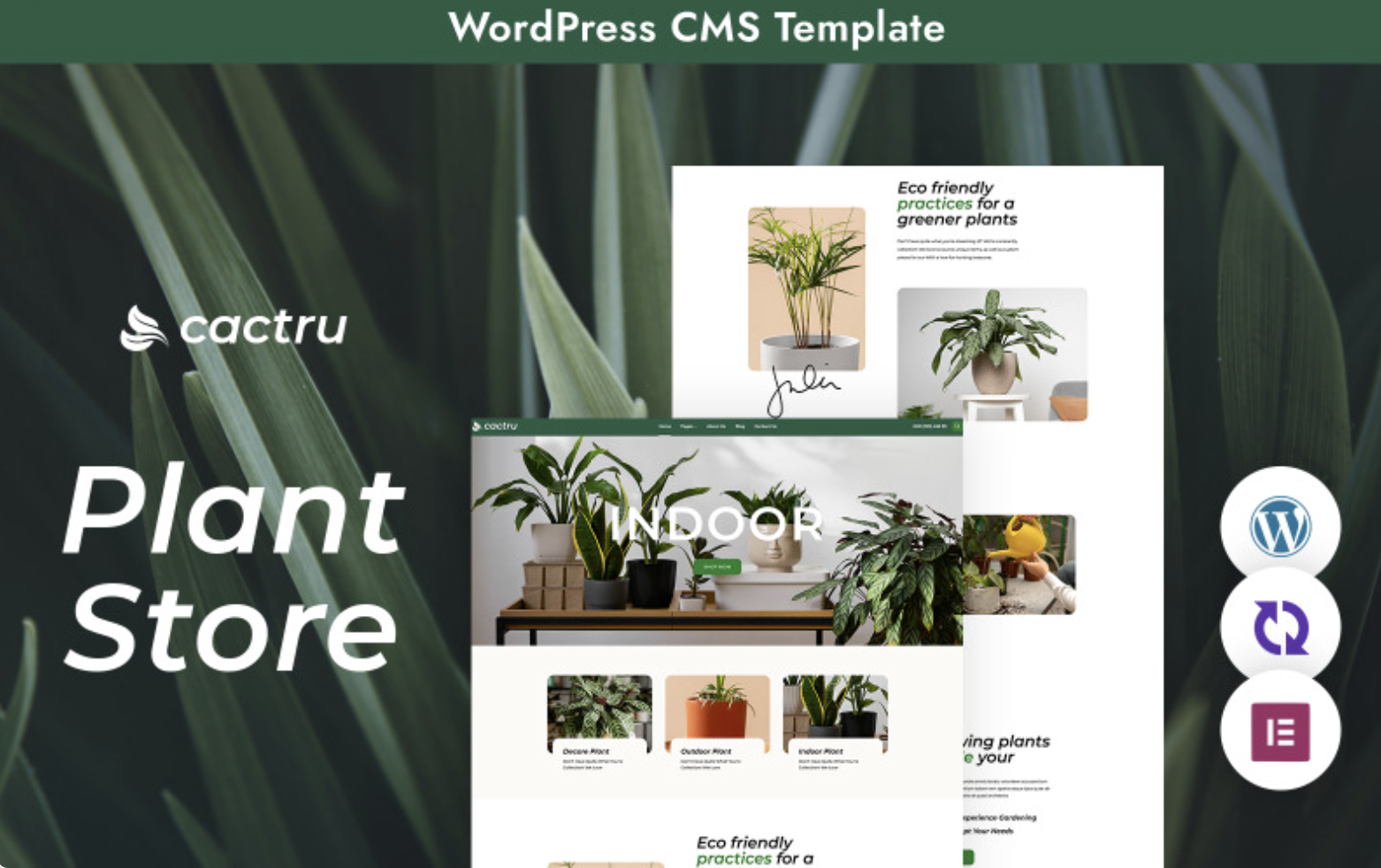 Cactrus WordPress Theme - A Unique Plant Studio Experience
