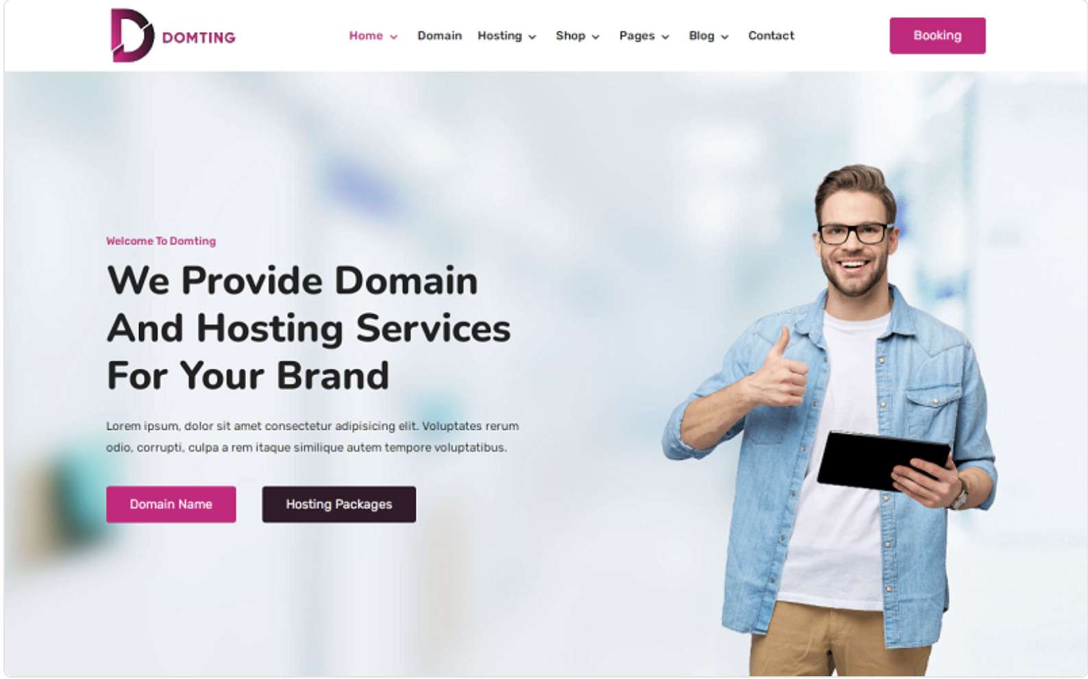 Domting - Domain and Hosting Provider Company and Agency Elementor WordPress Theme