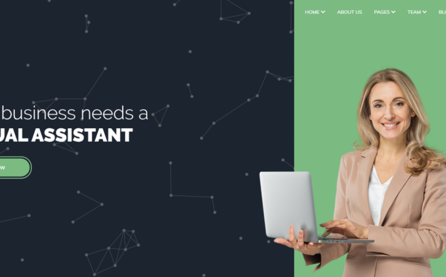 VIRA - Virtual Assistant WordPress Theme