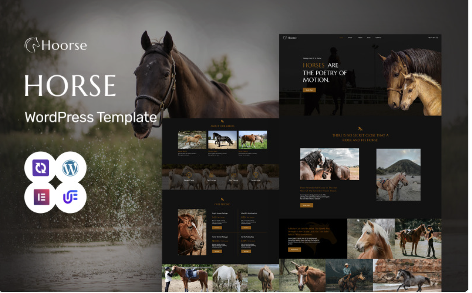 Hoorse - Horse Riding School, Horse Racing And Equestrian Center WordPress Elementor Theme WordPress Theme